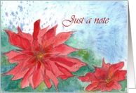 Red Poinsettia Watercolor Flower Just a Note Blank card