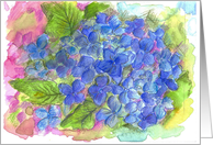 Blue Hydrangea Watercolor Flower Blank card