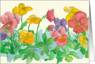 Pansy Watercolor Flowers Rainbow Colors Blank card