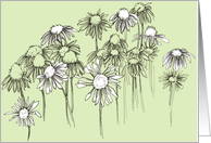 Herbs Coneflower Wildflowers Ink Drawing Blank card