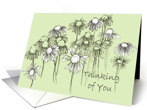 Thinking of You Coneflower Wildflowers Ink Drawing card (835292)