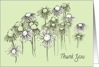 Thank You Coneflower Wildflowers Green Blank card