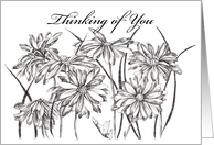 Thinking of You Black White Daisy Flower Garden card