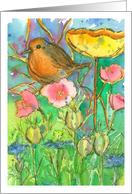 Robin Nigella Poppy Flower Garden Blank card