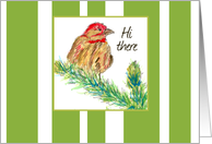 Thinking of You Bird Finch Trees Nature Green Stripes card