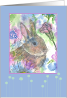 Rabbit Carnation Daisy Flowers Blank card
