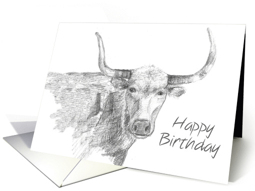Happy Birthday Longhorn Farm Animal Drawing card (838699)