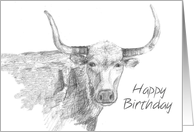 Happy Birthday Longhorn Farm Animal Drawing card