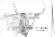 No special Reason Just Thinking of You Long Horn Cow card