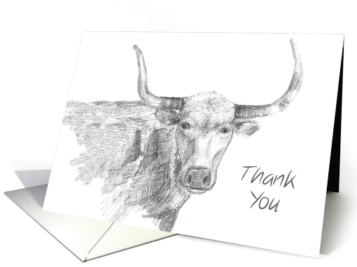 Thank You Longhorn Farm Animal Pencil Drawing card (838701)