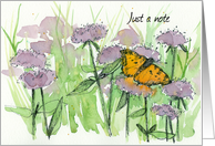 Just A Note Tortiseshell Butterfly Wildflowers Blank card