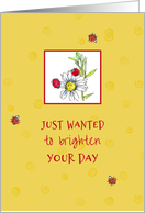 Just Wanted To Brighten Your Day Thinking Of You Ladybug card
