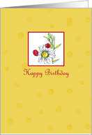 Happy Birthday Ladybug Daisy Flower Drawing card