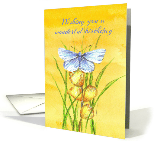 Wishing You A Wonderful Birthday Butterfly card (839428)