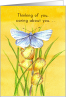 Thinking of You Caring About You Blue Butterfly Yellow card