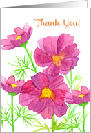 Thank You Cosmos Fuchsia Pink Flowers Blank card