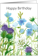 Happy Birthday Chicory Thistle Queen Anns Lace card