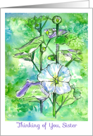 Thinking of You Sister White Hollyhock Flower Green Watercolor card
