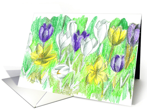 Crocus Flowers Purple Yellow White Pencil Drawing Blank card (845791)