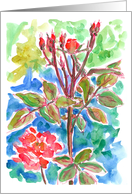 Red Rose Garden Watercolor Flowers Blue Blank card