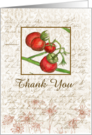 Thank You Blank Card Cherry Tomato Vegetable Illustration card