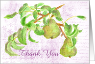 Thank You Watercolor Painting Pears Fruit Collage Blank card