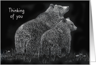 Thinking of You Bears Wildlife Flower Meadow card