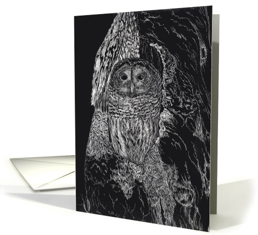 Owl In A Tree Nature Black White Blank card (865669)