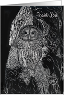 Thank You Owl In Tree Nature Black and White card
