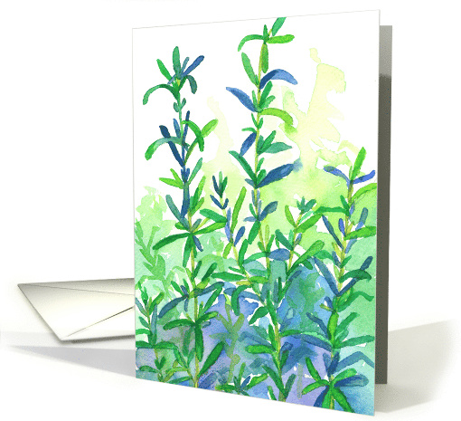 Rosemary Herb Watercolor Plant Blank card (86593)