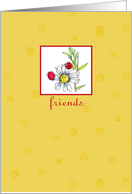 Because of You Friendship Ladybug Daisy Flower card