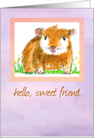 Hello Sweet Friend Guinea Pig Watercolor card