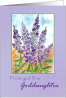 Thinking of You Goddaughter Purple Lupine Watercolor card