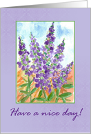 Have a Nice Day Purple Flower Lupines card