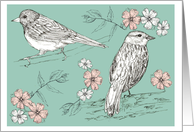 Birds White Pink Flowers Drawing Blank card