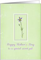 Happy Mother’s Day Special Secret Pal Wildflower card