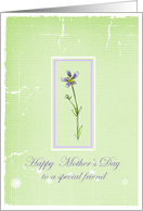 Happy Mother’s Day Special Friend Lavender Wildflower card