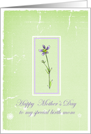 Happy Mother’s Day Special Birth Mom Lavender Wildflower card