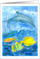 Dolphin Tang Tiger Fish Tropical Sea Creatures card