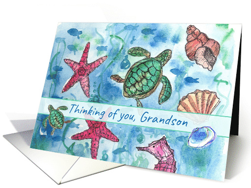 Thinking of You Grandson Turtles Fish Sea Horse Watercolor card