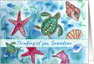 Thinking of You Grandson Turtles Fish Sea Horse Watercolor card