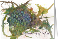 Thinking of You Grapes Vines Fruit Watercolor Art card