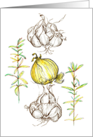 Garlic Onions Rosemary Kitchen Herbs Blank card