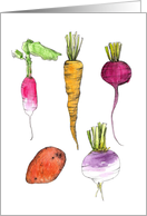 Carrot Beet Radish Potato Turnip Root Vegetables Blank card