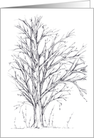 Winter Tree Black Pen and Ink Art Drawing Blank card
