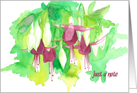 Fuchsia Flowers Botanical Watercolor Just A Note Blank card