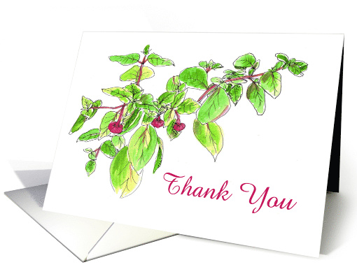 Thank You Fuchsia Flower Pen and Ink Art Drawing card (898774)