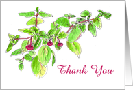 Thank You Fuchsia Flower Pen and Ink Art Drawing card