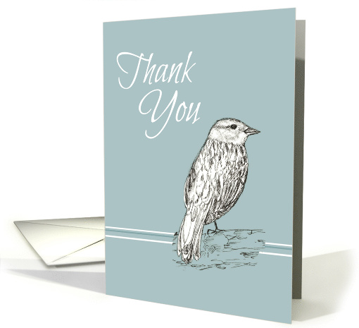 Thank You Bird Nature Drawing Dove Gray card (904582)