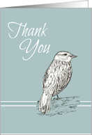 Thank You Bird Nature Drawing Dove Gray card